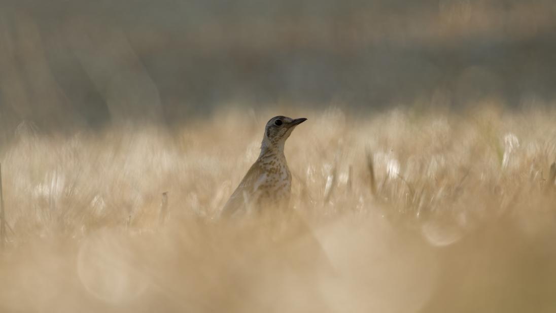 Uno charlando...🤘🤘