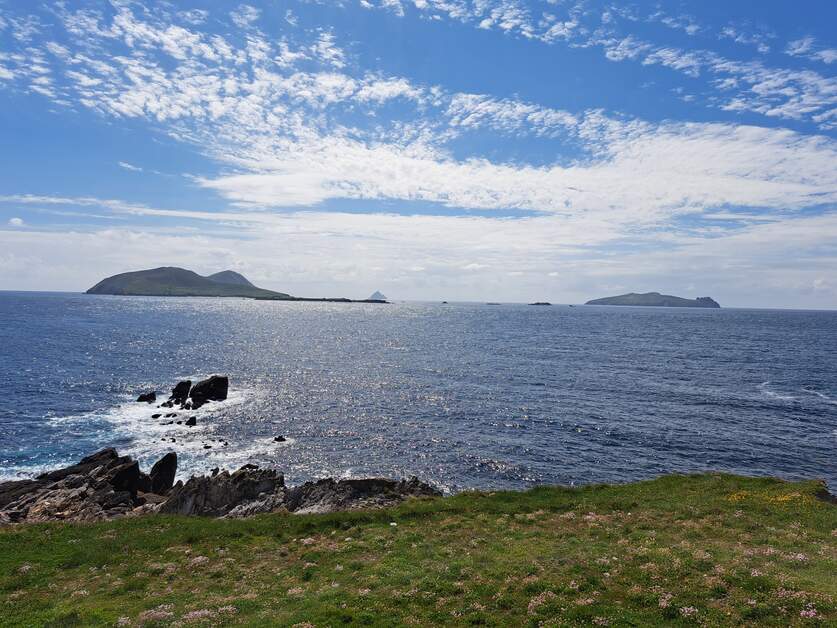 ☀️ Giugno in Irlanda è pura magia!
L’estate inizia con giornate più lunghe, paesaggi fioriti e una vivace energia che attraversa città e villaggi.

🍀 Scopri perché giugno è uno dei mesi più belli per visitare l’Irlanda:
👉 go.irlnd.co/Giugno-in-Irla…
