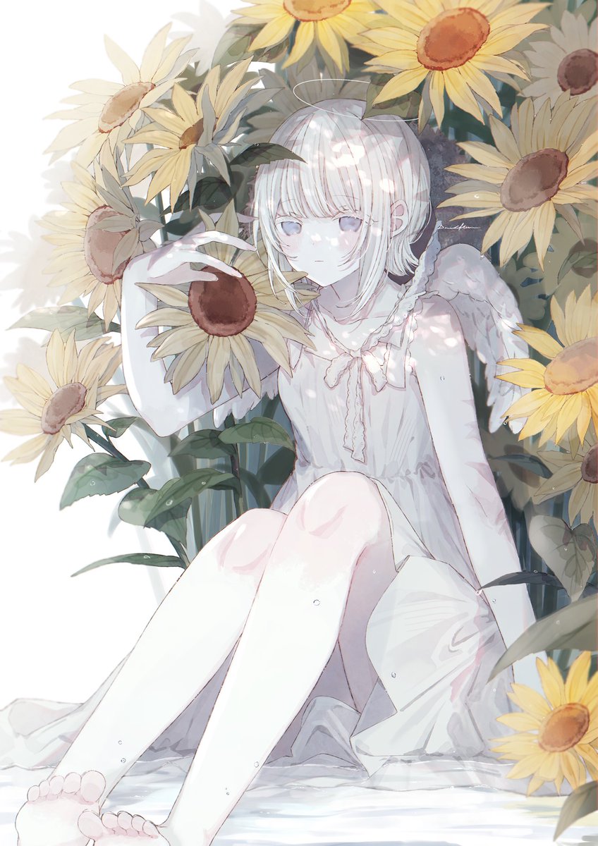 Post by ドライフラワー 6/7コミティア《あ03a》 on X: もうすぐ夏