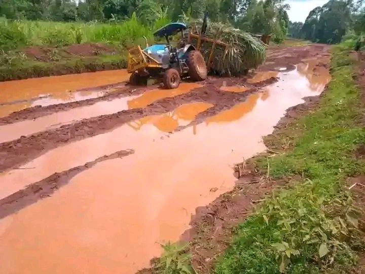 Luos are in the government 🤣
#MadarakaDay2025