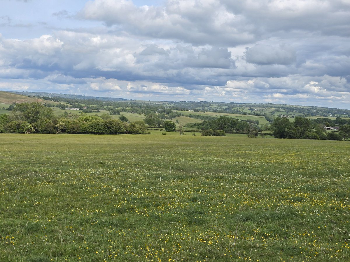 Pics from my walk yesterday from Ilam   #peakdistrict  #staffordshire