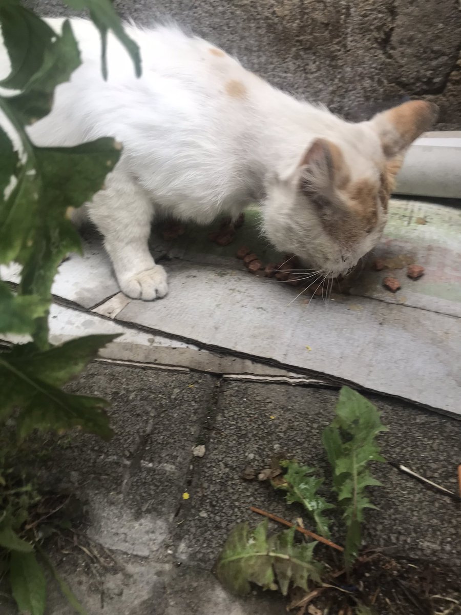 Market önü çocukları doyuruldu.