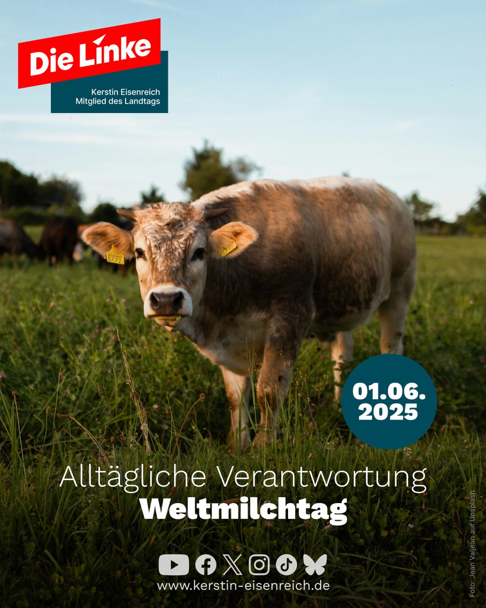 Alltägliche Verantwortung

Milch ist ein vergleichsweise gesundes und natürliches Lebensmittel. Umso mehr sollten wir uns gerade am heutigen #Weltmilchtag die mit dem Konsum verbundene Verantwortung für #Tierwohl, #Umwelt und #Klima bewusst machen.

#dielinke #ltlsa