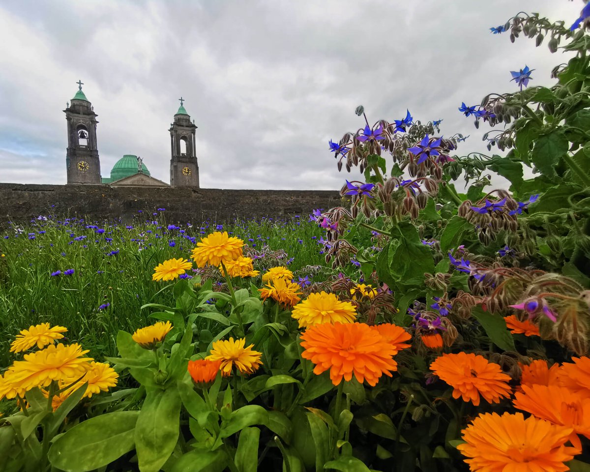 Athlone Castle and Luan Gallery presents: Garden to Gallery

An exciting new initiative by Athlone Arts and Tourism, the company that operates Athlone Castle, Luan Gallery, and Abbey Road Artists’ Studios, and is supported by funding from Creative Ireland &amp; Westmeath Arts Office