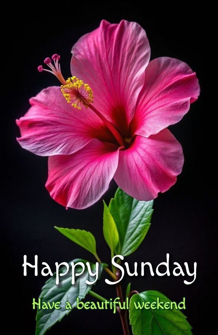 🌹Diane🌹 (@dianeelqueen) on Twitter photo 1: Retweet this🩷🖤
2: Follow all that Like & Retweet🩷🖤
3: Follow back all that follow you🩷🖤
Follow👉<a href="/lumpie125/">lumpie125</a> <a href="/TahneeQueen/">👑QUEEN OF QUEENS👑 🇲🇽🇺🇸👑</a> <a href="/Sameer241023/">⚜🦋.𝐒𝐀𝐌𝐄𝐄𝐑 𝐉𝐀𝐍𝐄.🦋⚜</a> <a href="/Luisa1E/">Luisa Elena 🌹Luisa🌷</a> <a href="/Aluddin19/">Aluddin19</a> <a href="/shahista210/">shahista210❤️✍️❤️🚕</a> <a href="/ginestarros/">SuperGina♥️💚♥️</a> <a href="/EvilDoma/">𝐿𝑖𝑛𝑑𝑠𝑎𝑦=that tiny human</a> <a href="/GRAHAM15583/">🅶🆁🅰🅷🅰🅼</a> <a href="/tnmuda/">Tn Muda</a> <a href="/Tina1Queen/">Tina</a> <a href="/OdriSeva/">Odri Seva</a> <a href="/DyelQueM/">🌤🫧☆◉ᴅʸᵉˡǫᵘᵉⁿ◉☆•🫧🌤</a> <a href="/sdh_2031/">𓃵MBS🇸🇦 💛🖤🫶صالح الحلوان 🫶💛🖤🇸🇦 MBS 𓃵</a> <a href="/V13lula/">Karen Lúcia♀️🚩🌵</a> 1: Retweet this🩷🖤
2: Follow all that Like & Retweet🩷🖤
3: Follow back all that follow you🩷🖤
Follow👉<a href="/lumpie125/">lumpie125</a> <a href="/TahneeQueen/">👑QUEEN OF QUEENS👑 🇲🇽🇺🇸👑</a> <a href="/Sameer241023/">⚜🦋.𝐒𝐀𝐌𝐄𝐄𝐑 𝐉𝐀𝐍𝐄.🦋⚜</a> <a href="/Luisa1E/">Luisa Elena 🌹Luisa🌷</a> <a href="/Aluddin19/">Aluddin19</a> <a href="/shahista210/">shahista210❤️✍️❤️🚕</a> <a href="/ginestarros/">SuperGina♥️💚♥️</a> <a href="/EvilDoma/">𝐿𝑖𝑛𝑑𝑠𝑎𝑦=that tiny human</a> <a href="/GRAHAM15583/">🅶🆁🅰🅷🅰🅼</a> <a href="/tnmuda/">Tn Muda</a> <a href="/Tina1Queen/">Tina</a> <a href="/OdriSeva/">Odri Seva</a> <a href="/DyelQueM/">🌤🫧☆◉ᴅʸᵉˡǫᵘᵉⁿ◉☆•🫧🌤</a> <a href="/sdh_2031/">𓃵MBS🇸🇦 💛🖤🫶صالح الحلوان 🫶💛🖤🇸🇦 MBS 𓃵</a> <a href="/V13lula/">Karen Lúcia♀️🚩🌵</a>