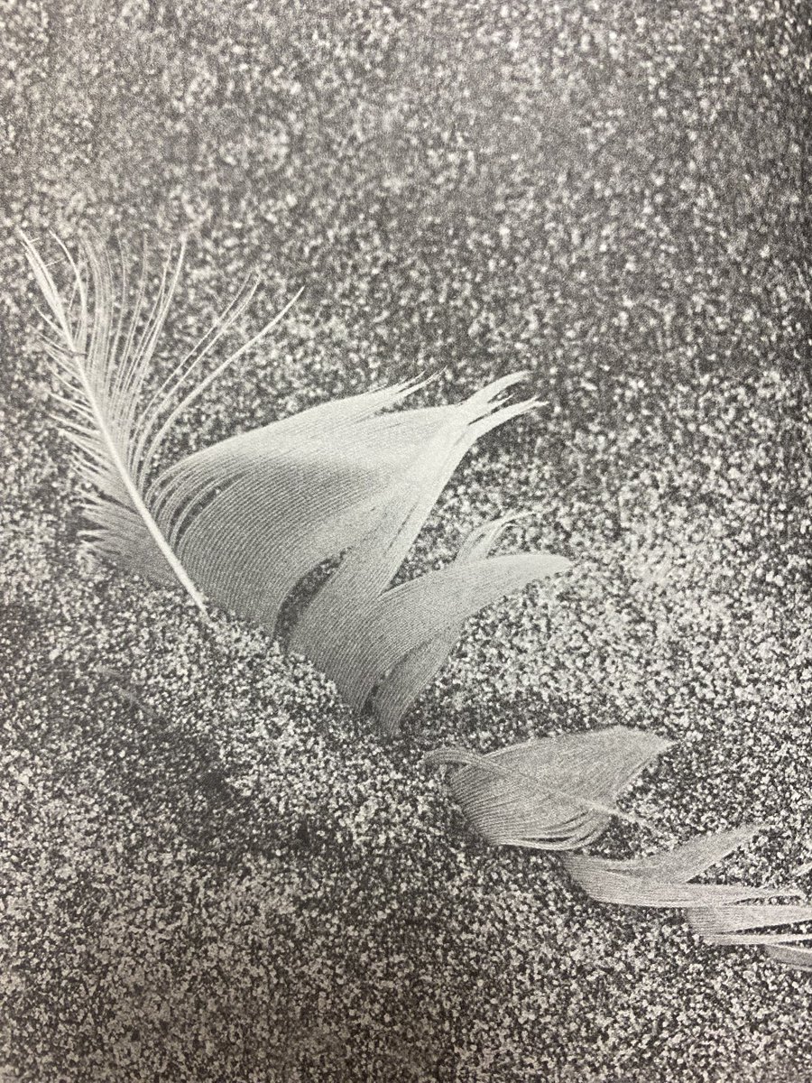 figmayer's tweet photo. (Hangi kitap02) https://t.co/ztP0YgtloA
