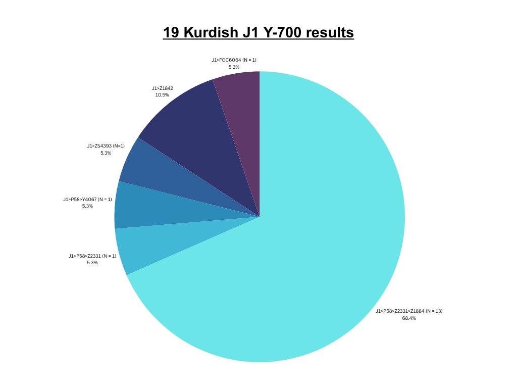 In the following, I will present the origins of all fully sequenced Y-700 Kurdish J1 samples we currently have in our dataset. To preface this analysis, out of a total of 274 Kurdish Y-700 samples, 19 belong to haplogroup J1, representing approximately 6.9% of the total. To