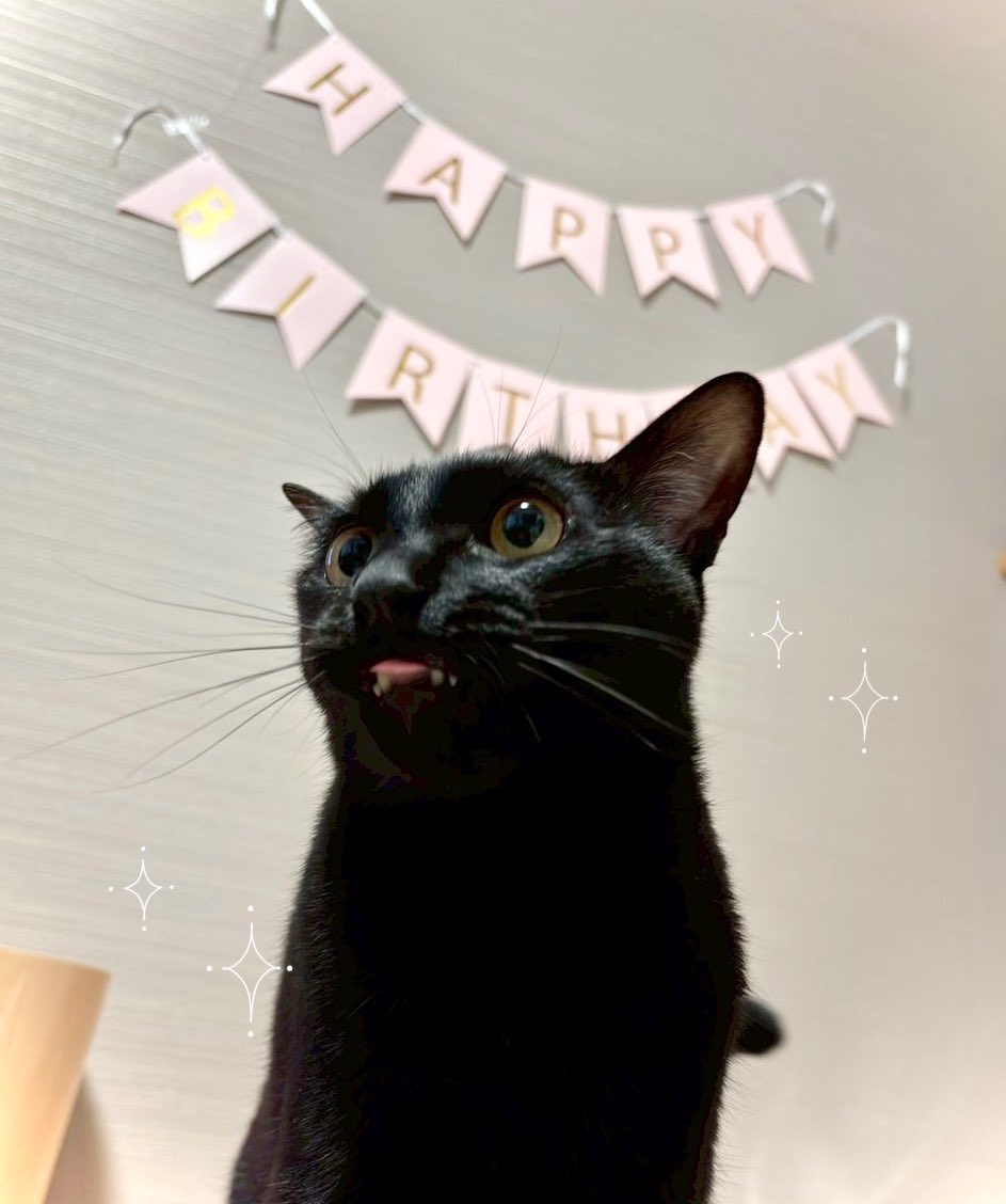今日はこぐまの2歳のお誕生日🎂👑✨️

大きく健やかに育ってくれて、ありがとう。
これからも毎日穏やかに楽しく過ごしていこうね。

↓ thなこぐたん