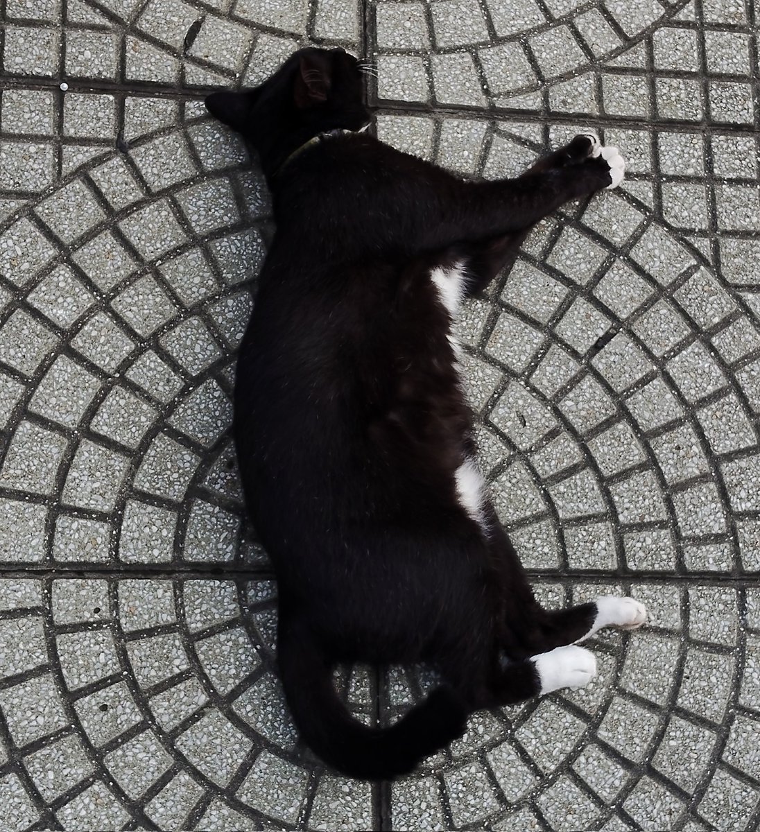 คลาสศิลป์ (@3million0_0) on Twitter photo 