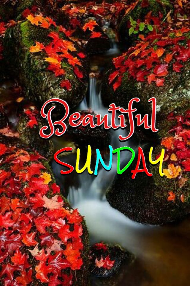 AB Zehri 13K (@baloch_786_) on Twitter photo <a href="/DianeElQueen/">🌹Diane🌹</a> <a href="/lumpie125/">lumpie125</a> <a href="/TahneeQueen/">👑QUEEN OF QUEENS👑 🇲🇽🇺🇸👑</a> <a href="/Sameer241023/">⚜🦋.𝐒𝐀𝐌𝐄𝐄𝐑 𝐉𝐀𝐍𝐄.🦋⚜</a> <a href="/Luisa1E/">Luisa Elena 🌹Luisa🌷</a> <a href="/Aluddin19/">Aluddin19</a> <a href="/shahista210/">shahista210❤️✍️❤️🚕</a> <a href="/ginestarros/">SuperGina♥️💚♥️</a> <a href="/EvilDoma/">𝐿𝑖𝑛𝑑𝑠𝑎𝑦=that tiny human</a> <a href="/GRAHAM15583/">🅶🆁🅰🅷🅰🅼</a> <a href="/tnmuda/">Tn Muda</a> <a href="/Tina1Queen/">Tina</a> <a href="/OdriSeva/">Odri Seva</a> <a href="/DyelQueM/">🌤🫧☆◉ᴅʸᵉˡǫᵘᵉⁿ◉☆•🫧🌤</a> <a href="/sdh_2031/">𓃵MBS🇸🇦 💛🖤🫶صالح الحلوان 🫶💛🖤🇸🇦 MBS 𓃵</a> <a href="/V13lula/">Karen Lúcia♀️🚩🌵</a> Good Morning Diane have a great and happy Sunday my dear friend ❤️🌞🌹
🌹<a href="/DianeElQueen/">🌹Diane🌹</a> <a href="/DianeDaQueen/">🌹Diane🌹</a> 🌹 <a href="/DianeElQueen/">🌹Diane🌹</a> <a href="/lumpie125/">lumpie125</a> <a href="/TahneeQueen/">👑QUEEN OF QUEENS👑 🇲🇽🇺🇸👑</a> <a href="/Sameer241023/">⚜🦋.𝐒𝐀𝐌𝐄𝐄𝐑 𝐉𝐀𝐍𝐄.🦋⚜</a> <a href="/Luisa1E/">Luisa Elena 🌹Luisa🌷</a> <a href="/Aluddin19/">Aluddin19</a> <a href="/shahista210/">shahista210❤️✍️❤️🚕</a> <a href="/ginestarros/">SuperGina♥️💚♥️</a> <a href="/EvilDoma/">𝐿𝑖𝑛𝑑𝑠𝑎𝑦=that tiny human</a> <a href="/GRAHAM15583/">🅶🆁🅰🅷🅰🅼</a> <a href="/tnmuda/">Tn Muda</a> <a href="/Tina1Queen/">Tina</a> <a href="/OdriSeva/">Odri Seva</a> <a href="/DyelQueM/">🌤🫧☆◉ᴅʸᵉˡǫᵘᵉⁿ◉☆•🫧🌤</a> <a href="/sdh_2031/">𓃵MBS🇸🇦 💛🖤🫶صالح الحلوان 🫶💛🖤🇸🇦 MBS 𓃵</a> <a href="/V13lula/">Karen Lúcia♀️🚩🌵</a> Good Morning Diane have a great and happy Sunday my dear friend ❤️🌞🌹
🌹<a href="/DianeElQueen/">🌹Diane🌹</a> <a href="/DianeDaQueen/">🌹Diane🌹</a> 🌹