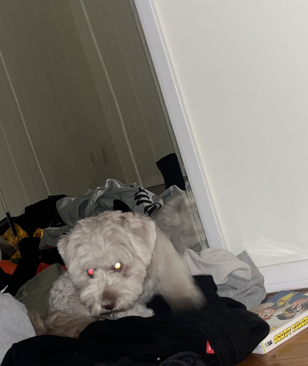 ok (@wegonebeok) on Twitter photo 