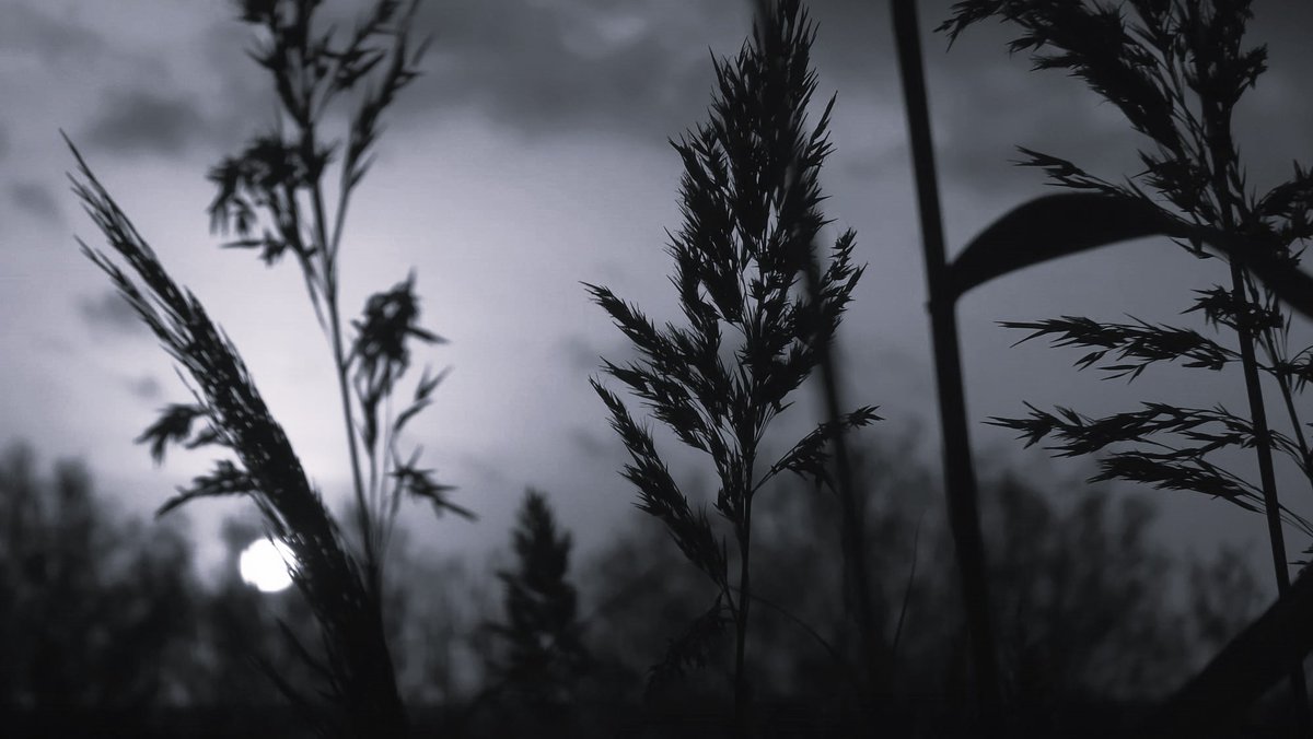 Ora online il nuovo numero del manifesto sardo, il numero 399 del primo giugno 2025. La foto di apertura è di Roberto Pili. Grazie a tutte le persone che hanno collaborato alla pubblicazione. Buona lettura.
manifestosardo.org/il-numero-399/