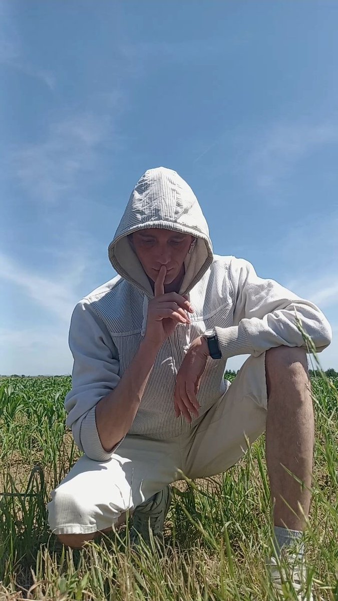 WESS (@wess_official) on Twitter photo 