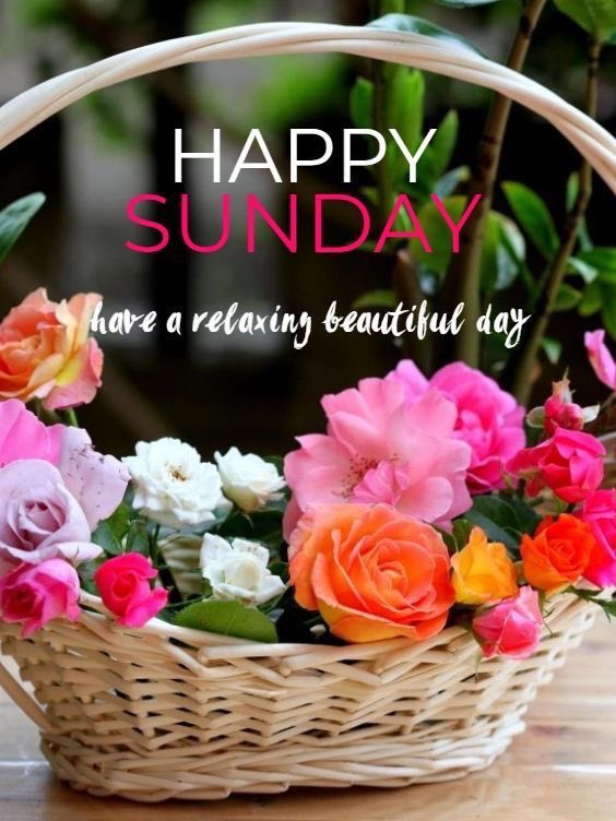 🌹Diane🌹 (@dianeelqueen) on Twitter photo Follow everyone who LIKES this🩷🧡💛
Follow👉<a href="/italianostyle1/">Frankie *D*</a> <a href="/GRAHAM15583/">🅶🆁🅰🅷🅰🅼</a> <a href="/R1_Adv/">Ridwan R1🇮🇩</a> <a href="/tnmuda/">Tn Muda</a> <a href="/PriSilSt/">🤍 SILVI 🤍🤍🤍</a> <a href="/4Usmn/">𝓡𝓪𝓷𝓪 𝓤𝓼𝓶𝓪𝓷</a> <a href="/BrettMGWV/">brett</a> <a href="/Spencerjames211/">Spencer James #GAINWITHPETAL #TMPETAL #Teamspirit</a> <a href="/geginlljin88/">カイン</a> <a href="/FlorMeninnaa/">Regina 🍭🍬</a> <a href="/StormResilient/">Belle Gosse ,American by Birth , Hawaii</a> <a href="/tnmuda/">Tn Muda</a> <a href="/ProximalK58/">Khan</a> <a href="/_ALESXIA/">꒰ ͜͡➸ 🔴 A̫̫L̫̫E̫̫S̫̫X̫̫I̫̫A̫̫ ꒰ ͜͡➸🔴</a> <a href="/tatysolcito/">💖 Tati Solcito 💖⭐⭐⭐</a> <a href="/Luisa1E/">Luisa Elena 🌹Luisa🌷</a> <a href="/Spencerjames211/">Spencer James #GAINWITHPETAL #TMPETAL #Teamspirit</a> <a href="/lqlql0/">amal</a> <a href="/Baloch_786_/">AB Zehri 13K</a> Follow everyone who LIKES this🩷🧡💛
Follow👉<a href="/italianostyle1/">Frankie *D*</a> <a href="/GRAHAM15583/">🅶🆁🅰🅷🅰🅼</a> <a href="/R1_Adv/">Ridwan R1🇮🇩</a> <a href="/tnmuda/">Tn Muda</a> <a href="/PriSilSt/">🤍 SILVI 🤍🤍🤍</a> <a href="/4Usmn/">𝓡𝓪𝓷𝓪 𝓤𝓼𝓶𝓪𝓷</a> <a href="/BrettMGWV/">brett</a> <a href="/Spencerjames211/">Spencer James #GAINWITHPETAL #TMPETAL #Teamspirit</a> <a href="/geginlljin88/">カイン</a> <a href="/FlorMeninnaa/">Regina 🍭🍬</a> <a href="/StormResilient/">Belle Gosse ,American by Birth , Hawaii</a> <a href="/tnmuda/">Tn Muda</a> <a href="/ProximalK58/">Khan</a> <a href="/_ALESXIA/">꒰ ͜͡➸ 🔴 A̫̫L̫̫E̫̫S̫̫X̫̫I̫̫A̫̫ ꒰ ͜͡➸🔴</a> <a href="/tatysolcito/">💖 Tati Solcito 💖⭐⭐⭐</a> <a href="/Luisa1E/">Luisa Elena 🌹Luisa🌷</a> <a href="/Spencerjames211/">Spencer James #GAINWITHPETAL #TMPETAL #Teamspirit</a> <a href="/lqlql0/">amal</a> <a href="/Baloch_786_/">AB Zehri 13K</a>