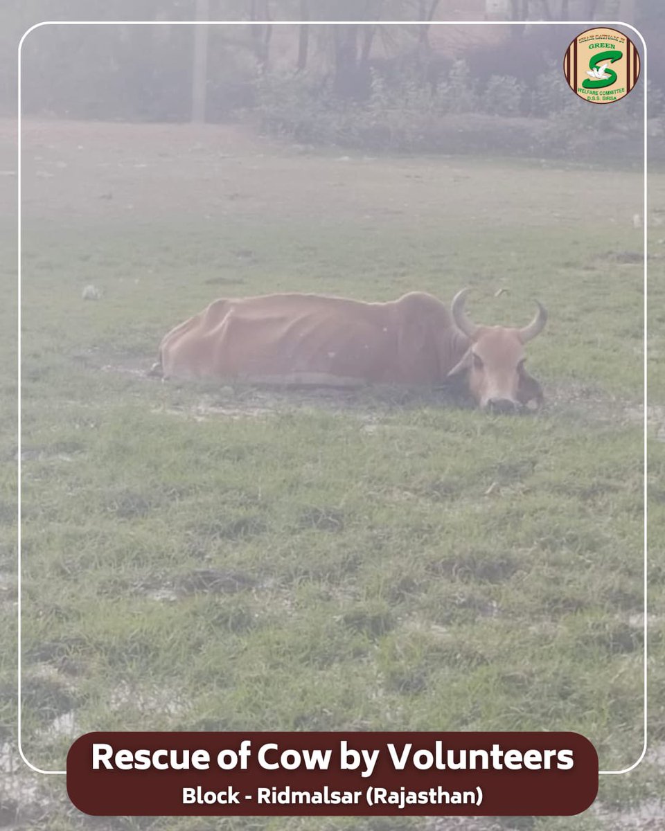 बेज़ुबान गौ माता का बने सहारा, फरिश्ते बन दलदल से निकाला 
जहां एक ओर आदमी तड़पते हुए आदमी की भी सुध नहीं लेता, वहीं ब्लॉक रिडमलसर, राजस्थान के सेवादारों ने अथक प्रयास कर दलदल में फंसी गौ माता को निकाला व उसकी दुआओं के हकदार बने।
Saint Dr. MSG Insan द्वारा दी गई इंसानियत की सच्ची