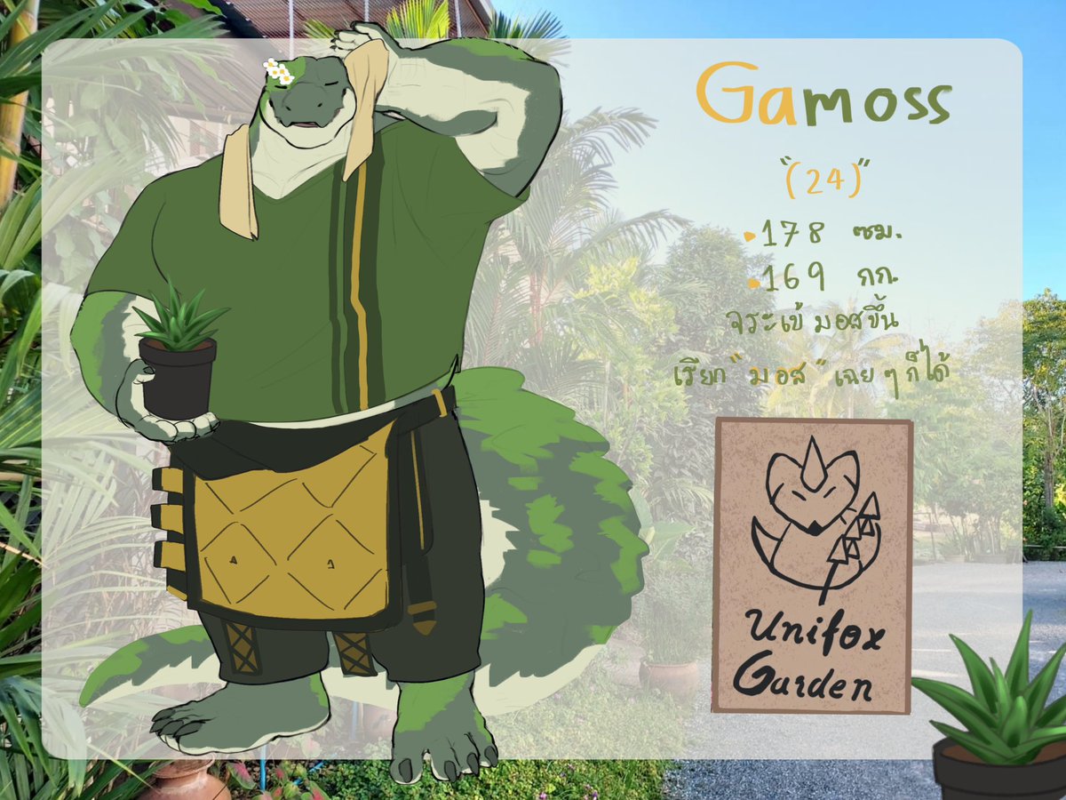 Gamoss Elm tweet media