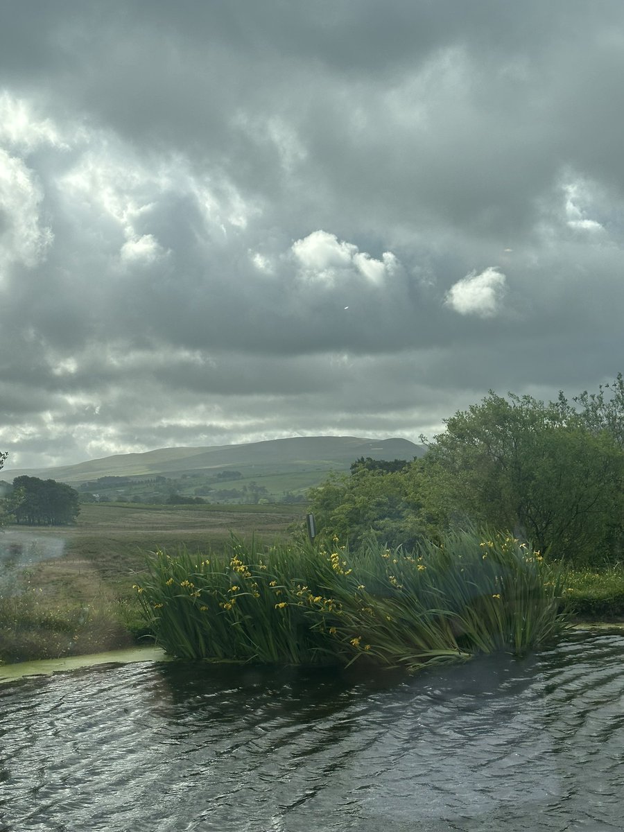 Today I went to Tebay on the way home 😍

We were quite early so it was lovely &amp; quiet, too!