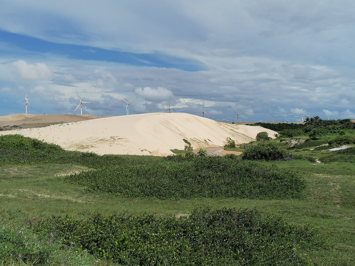 skymanuelima's tweet photo. No Lugar “Passagem”, #Fleicheiras, no #Trairi, #Ceará, entre a estrada CE-346 e a margem direita do Córrego da Barrinha /Dunas, 2 magníficos terrenos, 1 com 9.559 m2 e o outro com 9.900 m2, com vista para o mar e uma boa oportunidade para investir. #Brasil #terrenos #Investimento https://t.co/QOzf2MdBiZ