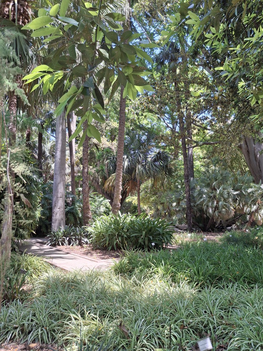 Isabel Abarca tweet media