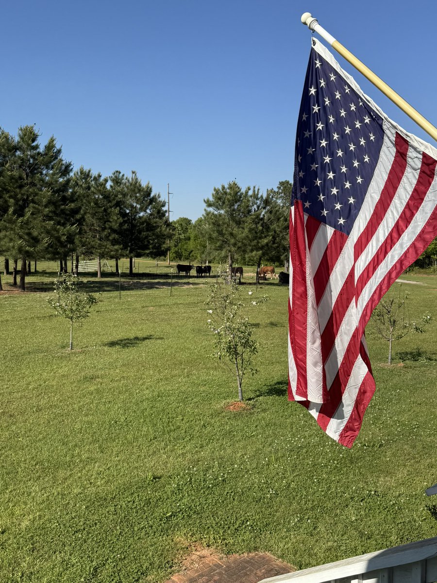 Good morning all from my little farm in Georgia