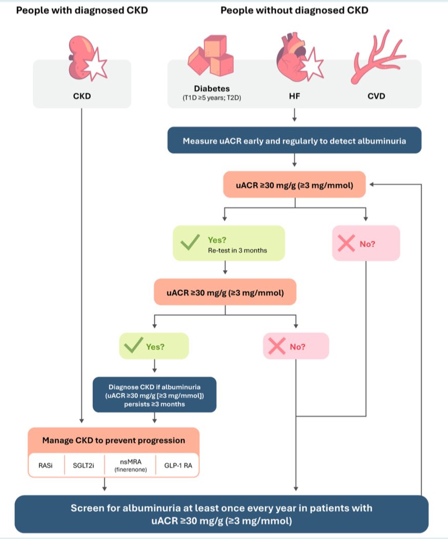 Javier Torres (@jtllergo) on Twitter photo ⚠️ Albuminuria as a diagnostic criterion and a therapeutic target in HF and other CV disease‼️
<a href="/escardio/">European Society of Cardiology</a> <a href="/ESC_Journals/">European Society of Cardiology Journals</a> <a href="/secardiologia/">Soc Esp Cardiología</a> <a href="/SENefrologia/">S.E.N. Nefrología</a> <a href="/SACardiologia/">SACardiología</a> <a href="/preventiva_SEC/">Cardiología Preventiva</a> <a href="/MartaCoboMarcos/">Marta Cobo Marcos</a> <a href="/MjoseEspigares/">Mjose Espigares</a> <a href="/rdelaespriella/">Rafael de la Espriella</a> <a href="/jlgorriz/">Jose Luis Górriz</a>
onlinelibrary.wiley.com/doi/full/10.10… ⚠️ Albuminuria as a diagnostic criterion and a therapeutic target in HF and other CV disease‼️
<a href="/escardio/">European Society of Cardiology</a> <a href="/ESC_Journals/">European Society of Cardiology Journals</a> <a href="/secardiologia/">Soc Esp Cardiología</a> <a href="/SENefrologia/">S.E.N. Nefrología</a> <a href="/SACardiologia/">SACardiología</a> <a href="/preventiva_SEC/">Cardiología Preventiva</a> <a href="/MartaCoboMarcos/">Marta Cobo Marcos</a> <a href="/MjoseEspigares/">Mjose Espigares</a> <a href="/rdelaespriella/">Rafael de la Espriella</a> <a href="/jlgorriz/">Jose Luis Górriz</a>
onlinelibrary.wiley.com/doi/full/10.10…