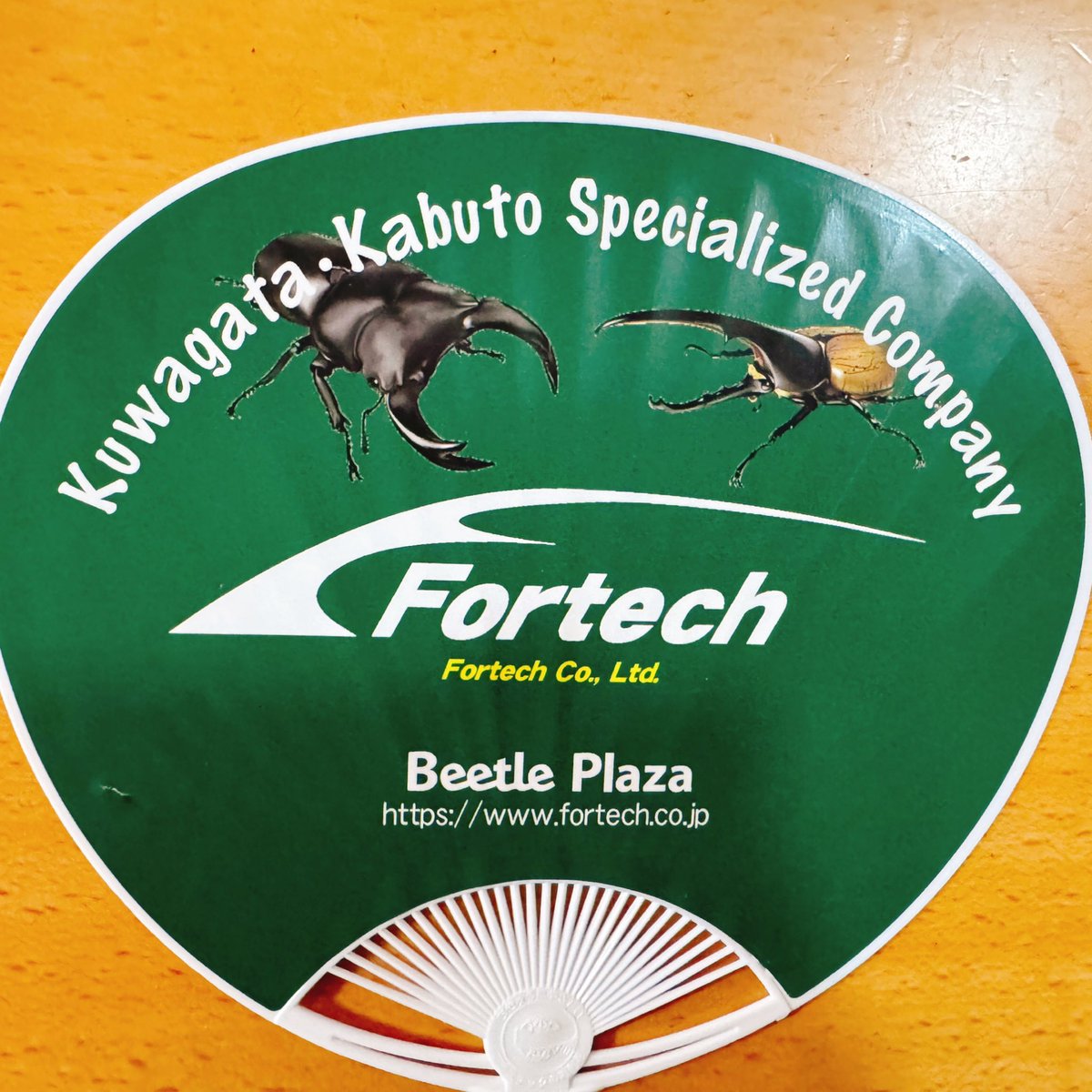 tokuru_M's tweet image. #俺の虫活 #Fortech #コクワ産卵材 #ヒラタ　アマミヒラタRB2♀は充分、幼虫・卵を得たので採卵休止し、大型ケースには小宝島タカラヒラタ2♀を産卵セットし直しました。宇治産コと山鹿産コも産卵痕が多く、材回収を行いました。山鹿産は材交換。弘前・川西WEコは来週材回収します。
もう直ぐ64の日😉