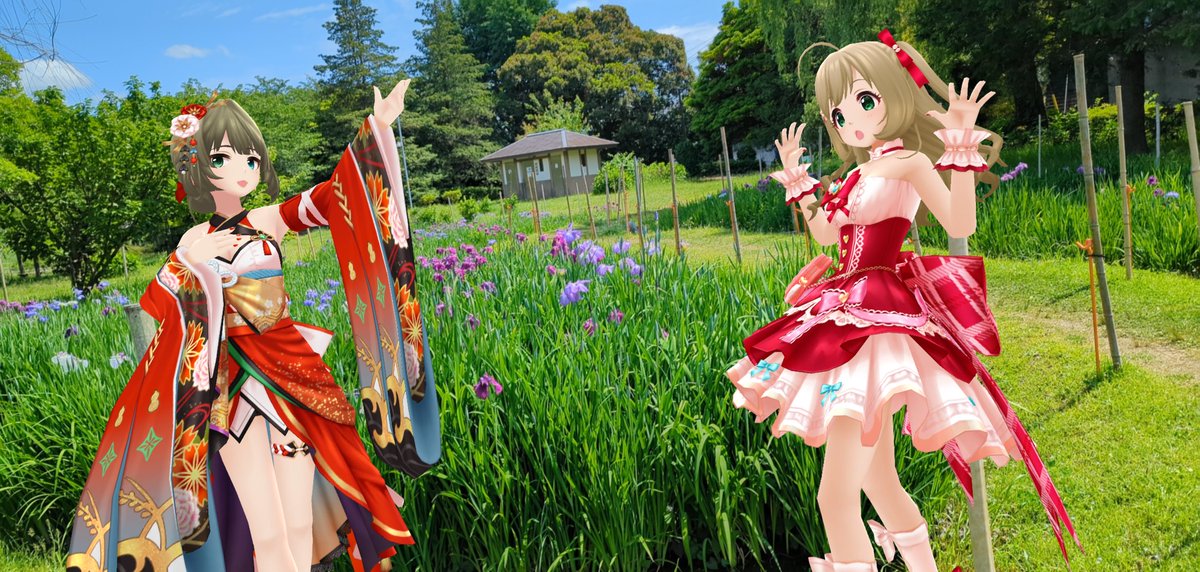 習志野市の実籾本郷公園にて。今年も花菖蒲の季節になりました。

楓「心さん、なんの勝負かわかりませんけど、勝負しませんか？」

はぁと「えっ！？」

あいどるのたかがきかえでが　しょうぶを　しかけてきた！

楓「菖蒲だけに、ふふっ♪」
#デレステAR
#デレスポAR
#高垣楓
#佐藤心
