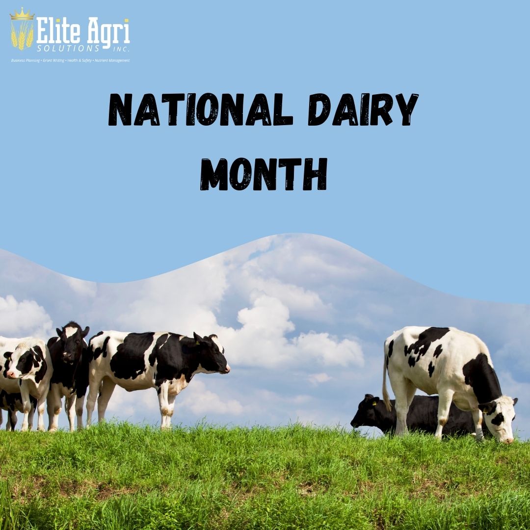 June is Ontario Dairy Month! 

A time to celebrate the generations of dairy farmers.

At Elite, we’re committed to supporting these producers with business planning, access to funding opportunities, and a focus on on-farm safety—because strong farms build strong futures.