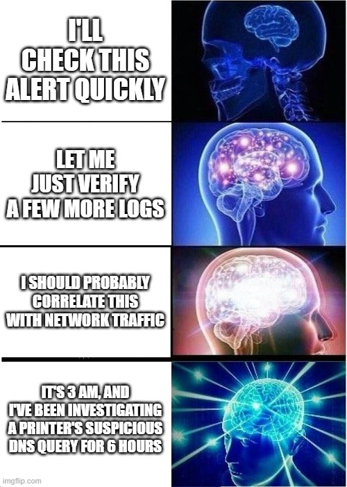 Started with one alert… now I speak fluent DNS.