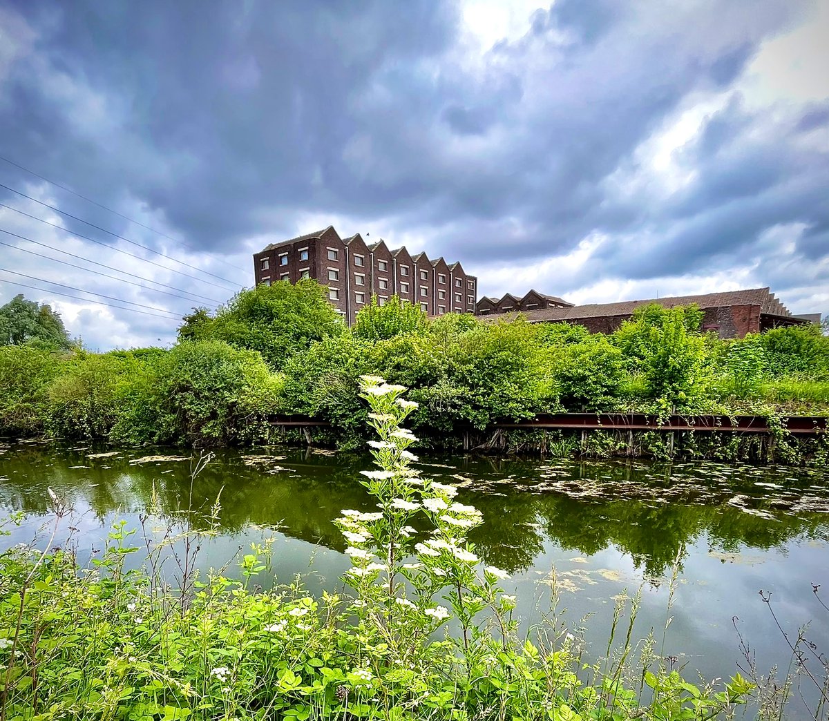 EveFlament's tweet image. Vert et tourmenté #Printemps #Roubaix