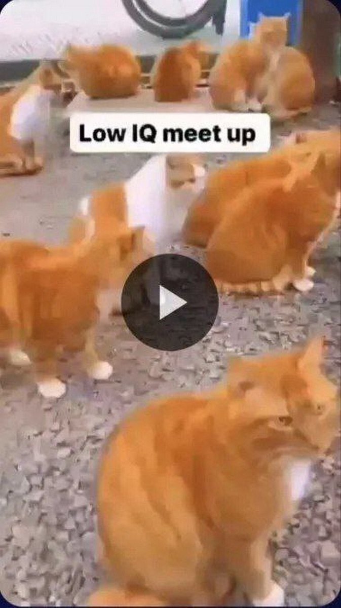 lars (@redbullabuser) on Twitter photo 