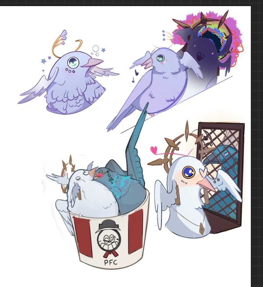 your_starryy's tweet image. #sunturine #avenday birbs this time featuring #RobinHSR