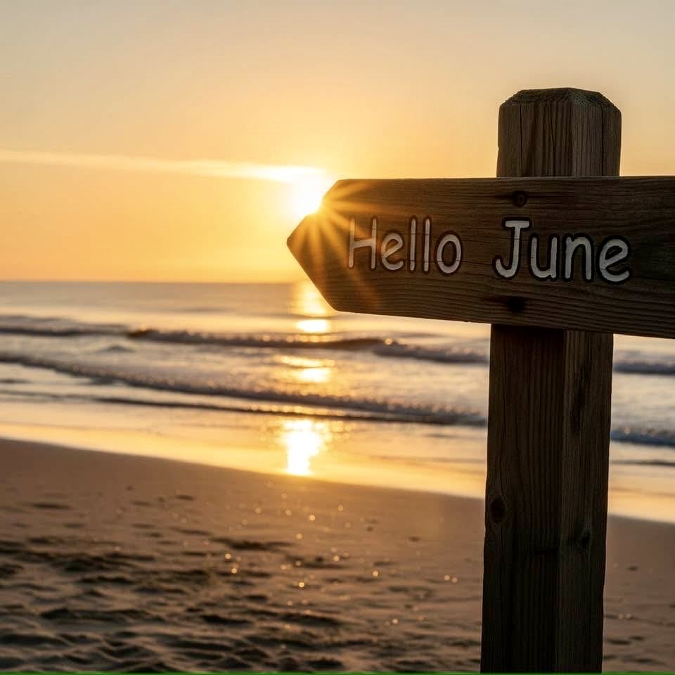Have a blessed Sunday. 👋Hopefully your day is filled with love and joy.