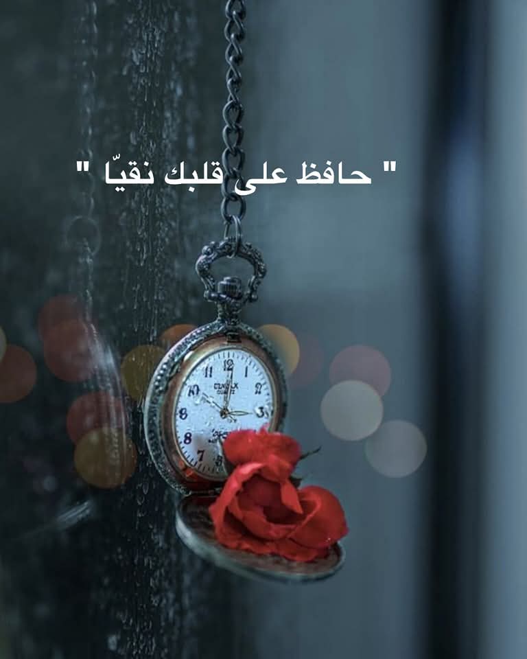 " حافظ على قلبك نقيّا .
  ولو وجدت مئة سبب لتتغيّر للأسوء ، 
  إبحث عن سبب واحد لتبقى روحك
  بريئة جميلة مثلما أنـ♡ـت .!!"
#مساء_الخير ❤️