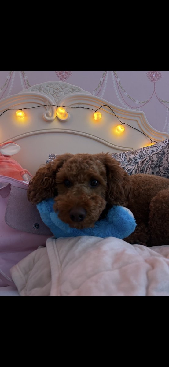 Guys happy Sunday. I locked 180m tokens for 3 years burned 20m and will burn much more. Who does this ? $archie.     dexscreener.com/solana/cklqcig…