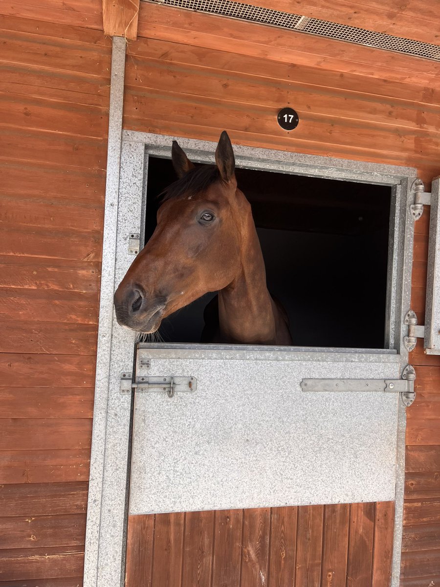 S.Pearce Racing (@spearce_racing) on Twitter photo Jack McNamara runs today for us in the 4.45pm at <a href="/ChelmsfordCRC/">Chelmsford City Racecourse</a> #comehomesafe #racehorse #horseracing #itv4racing #itv4 <a href="/itvracing/">ITV Racing</a> Jack McNamara runs today for us in the 4.45pm at <a href="/ChelmsfordCRC/">Chelmsford City Racecourse</a> #comehomesafe #racehorse #horseracing #itv4racing #itv4 <a href="/itvracing/">ITV Racing</a>