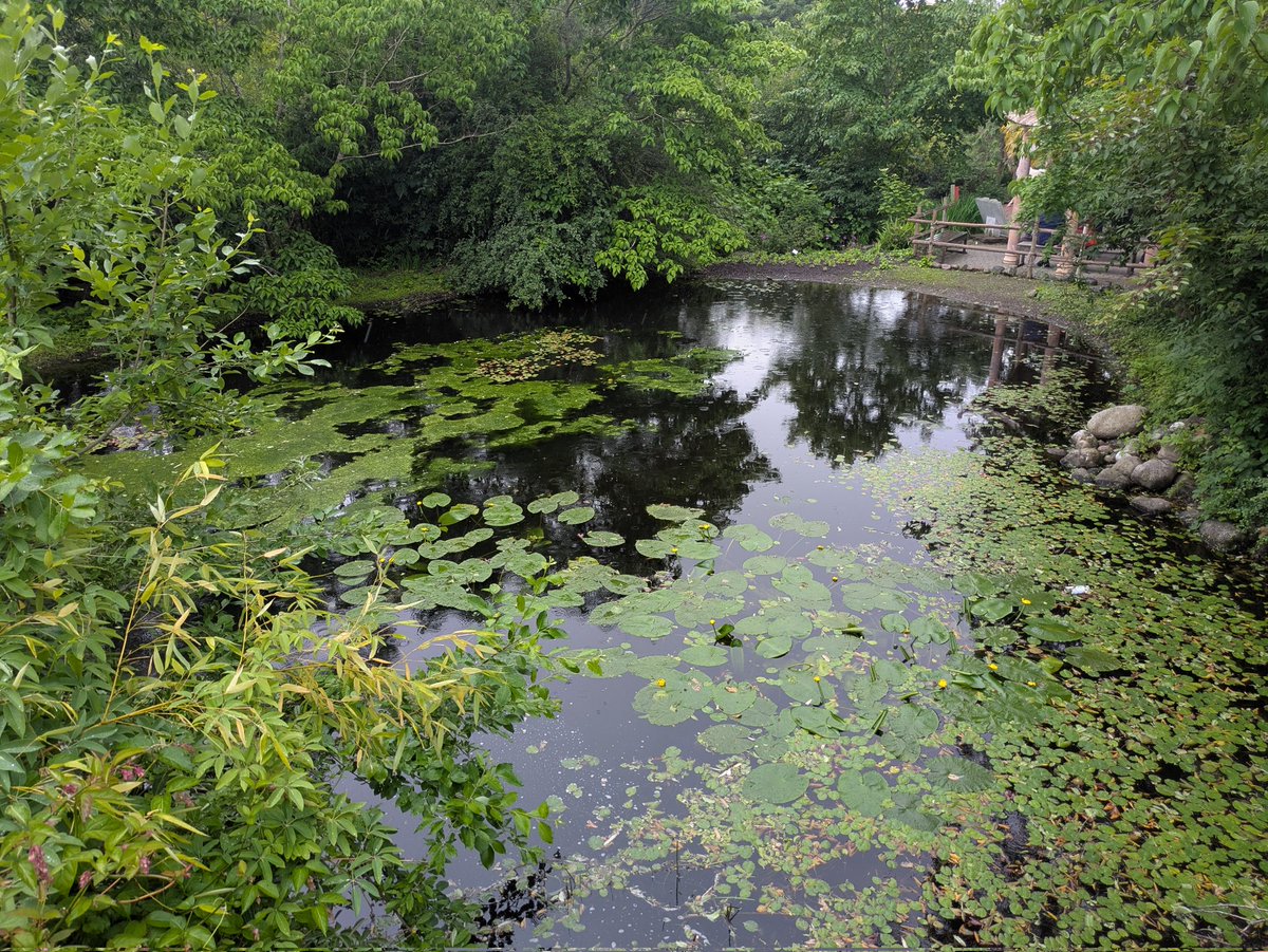 Jeffrey Roe tweet media