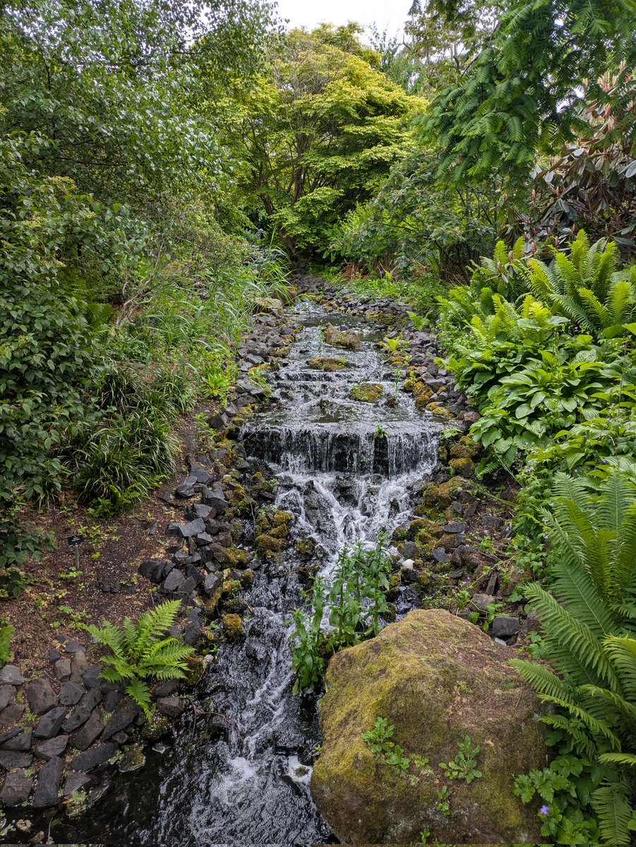 Jeffrey Roe tweet media