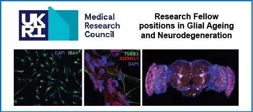 Fiona Kerr tweet media