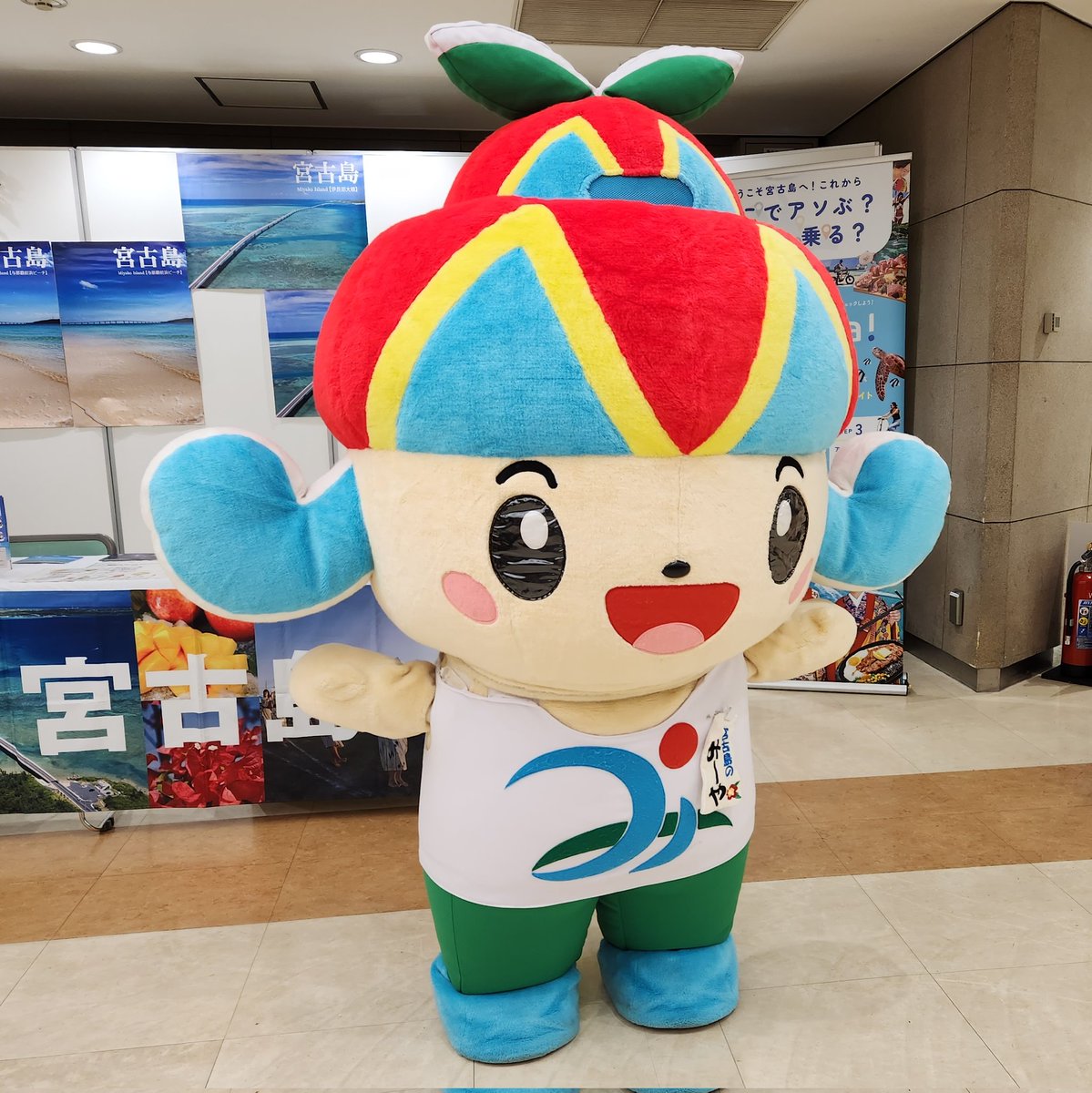 ちばた(千葉県在住のShibata) (@TShibata_1997) / Posts / X