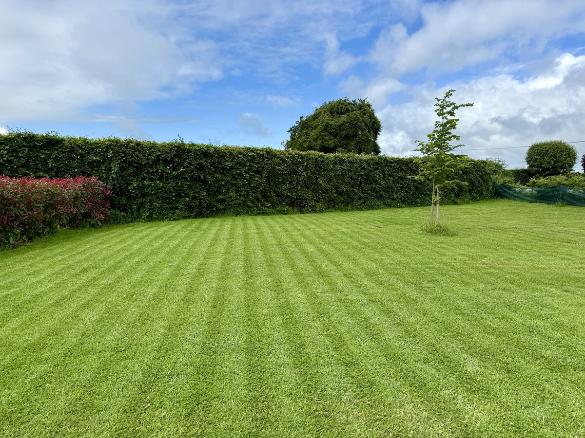 Carlow Weather tweet media