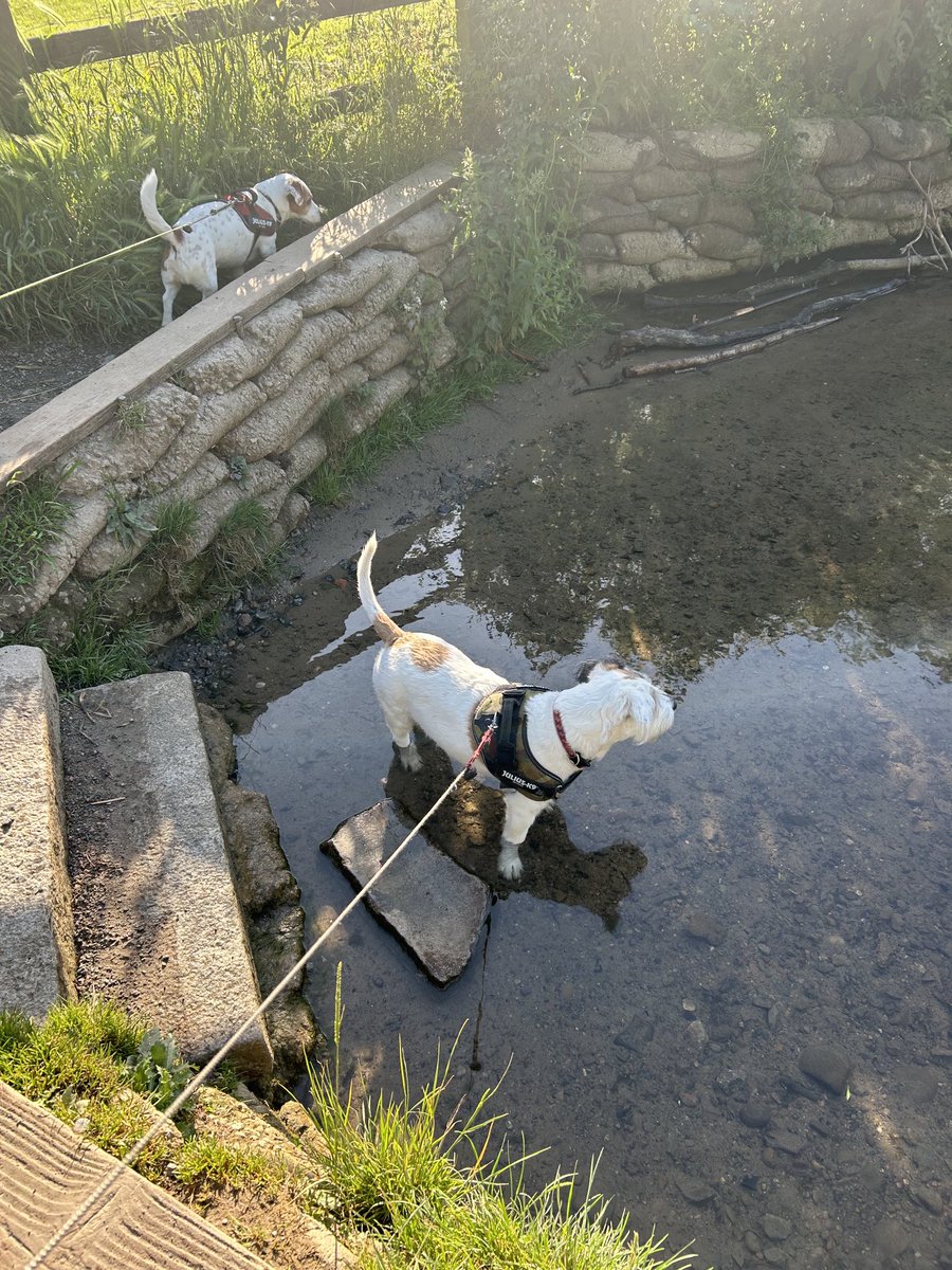 Mornin’ paddle 😌🥰