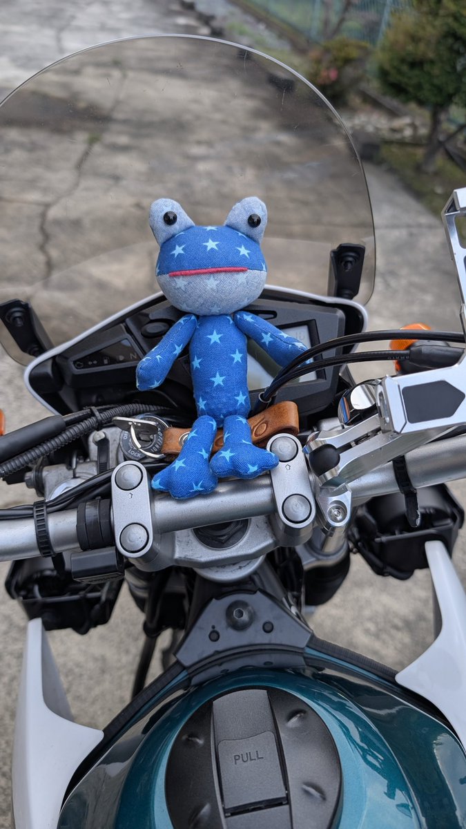 ブジ🐸‼️
山奥はやっぱり涼しい😆
GW以降久しぶりのおバイク🏍💨