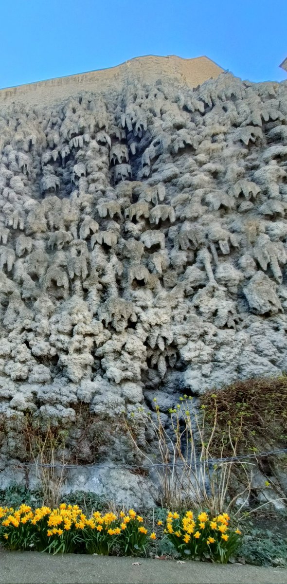 Isabel Queay tweet media