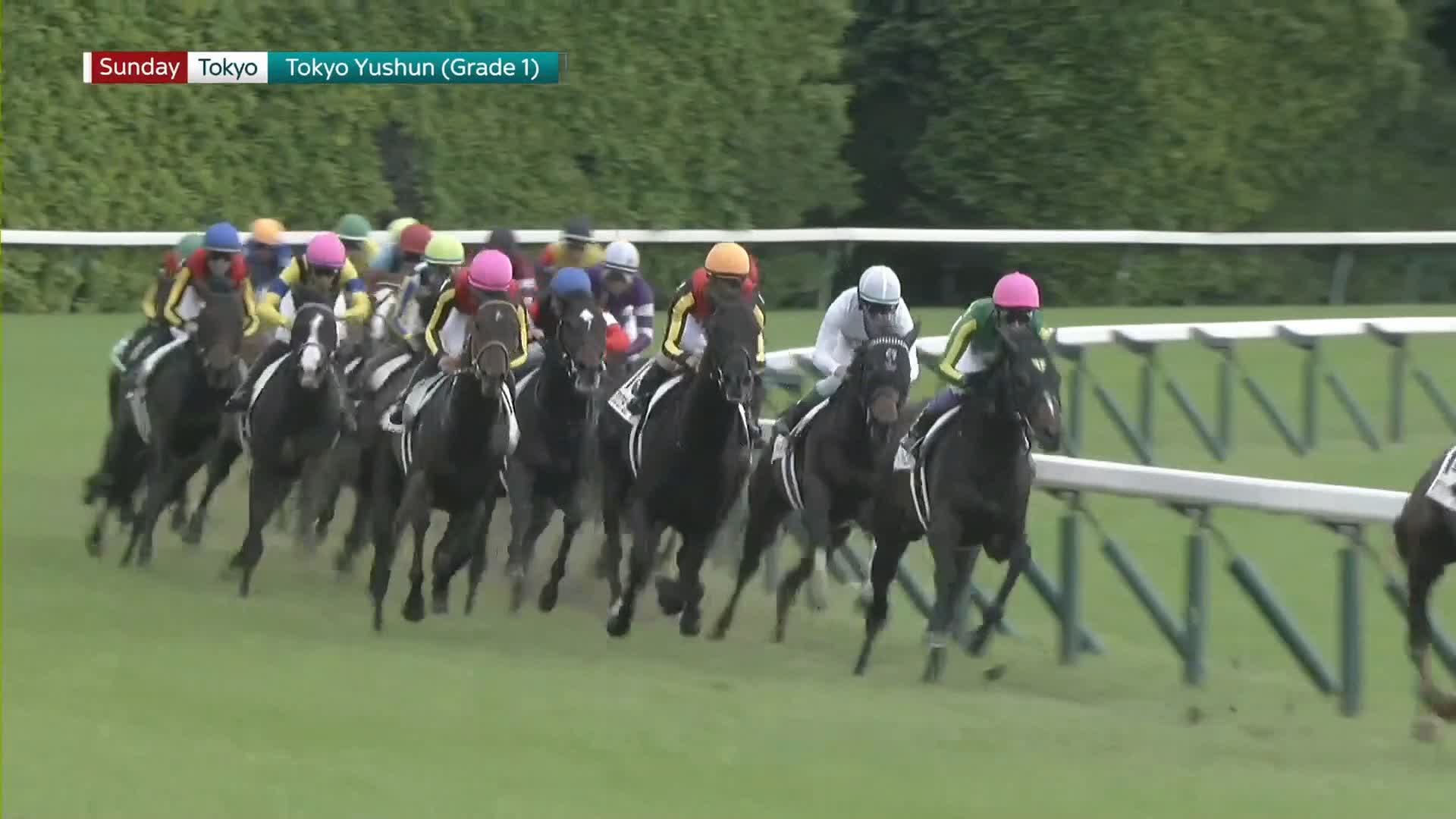 At The Races on X: 