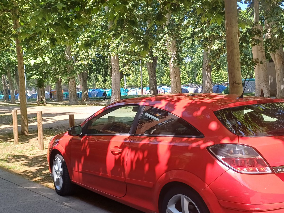 La Devesa tweet media