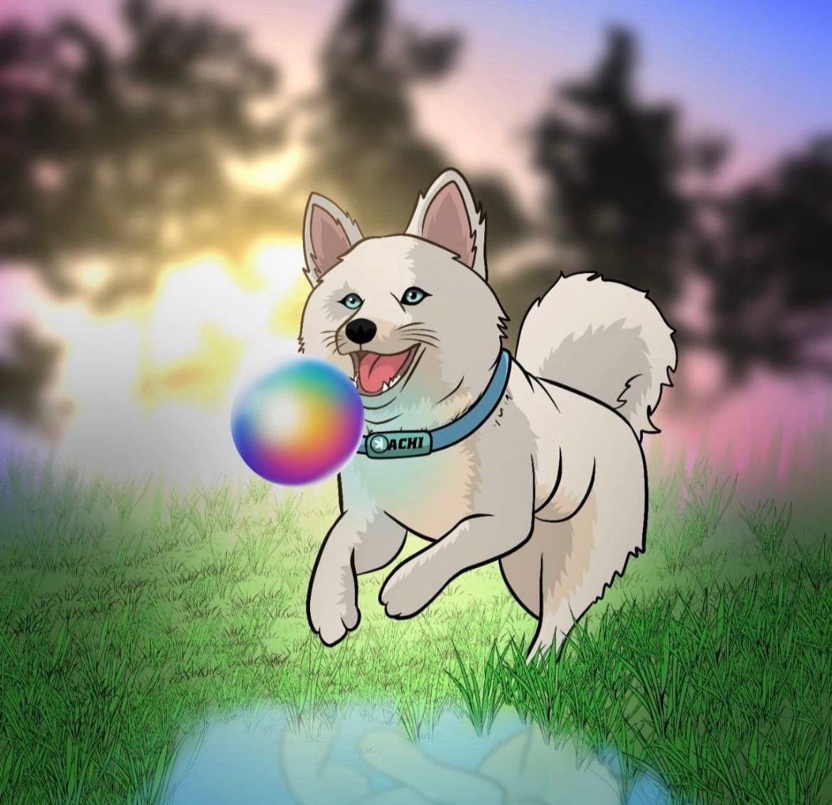 🎉 $100 GIVEAWAY – $50 in $KACHI &amp; $50 in $KAS! 🎉

KACHI’s Playground is BACK! 🐾
Get ready for a live game of fetch where our fearless Shiba, Kachi, will personally pick the winner on camera! 🎥🔥
Catch the action in a video dropping next week!

How to enter:
✅ Like
🔁 Retweet