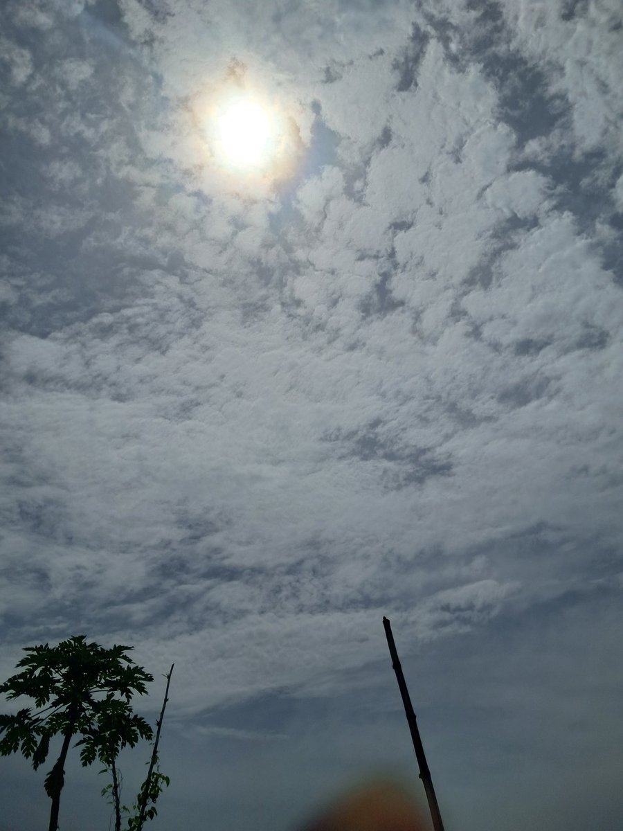 Marvel_ouz's tweet photo. Day 3
I woke up feeling grateful for all the signs I see each day 🧡
Happy  New Month to the SIGN Family🦺
 May we always have reason to celebrate 🥳 

#OrangeDynasty 
#Signworld
@sign 
@Hon_of_sign 
@ethsign https://t.co/uaV1hfL4bL