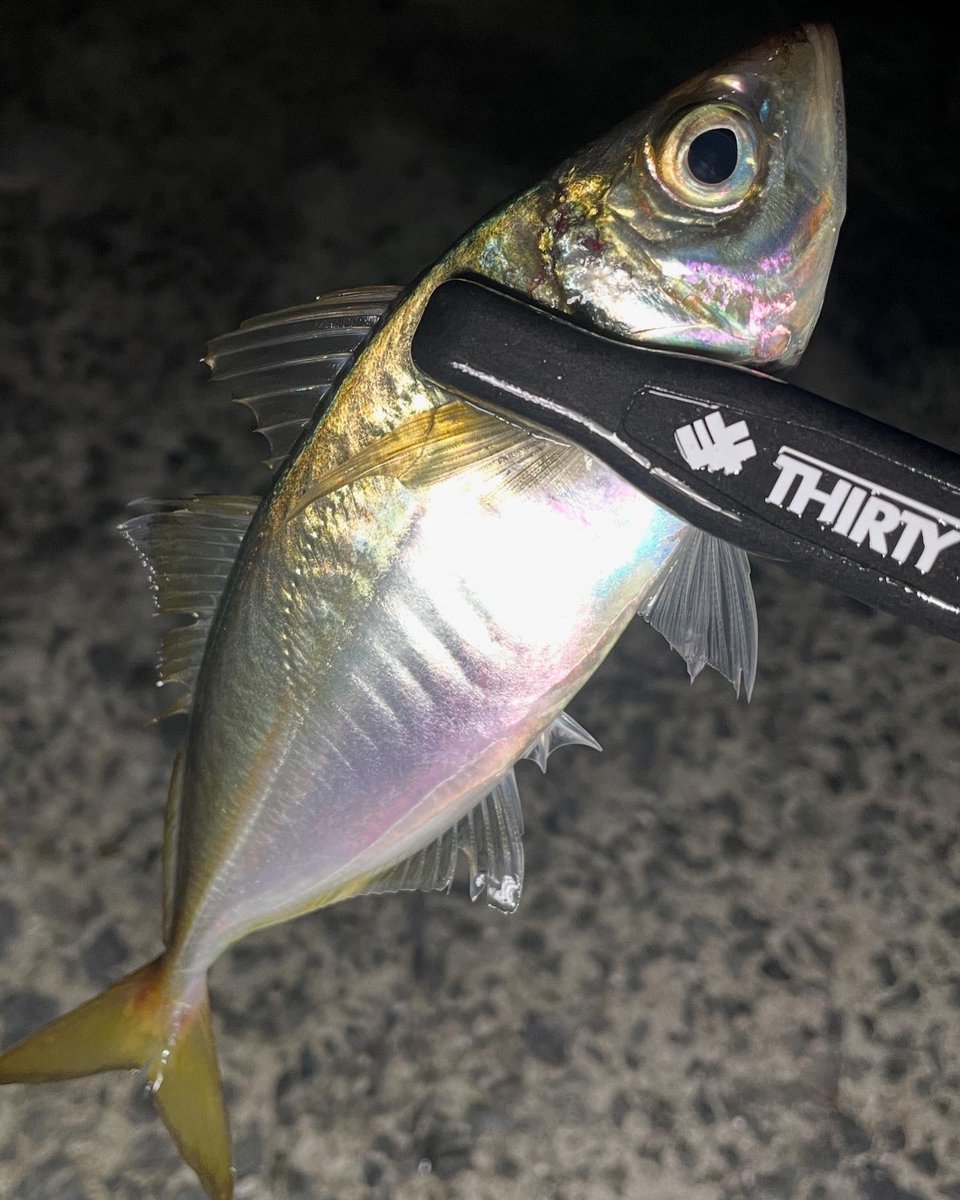 OkacchiAjinng's tweet photo. 久しぶりのアジング🎣
一晩中楽しめた〜🎣
#thirty34four
#サーティフォーフィールドモニター
# https://t.co/G3IBDTnoPF