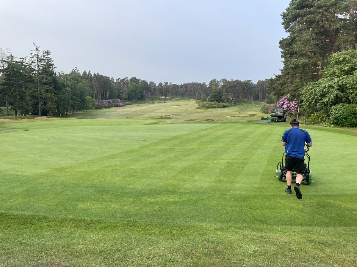 Tony Stephen tweet media